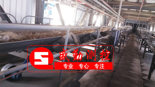 ����Ƥ���ӬF(xi��n)��(ch��ng)�������|(zh��)��